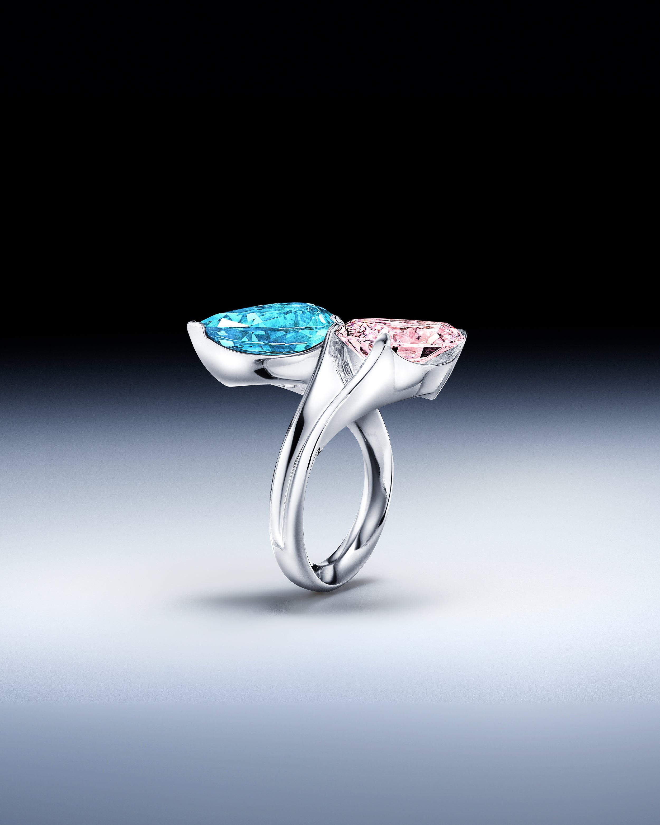 Valley Toi et Moi Ring