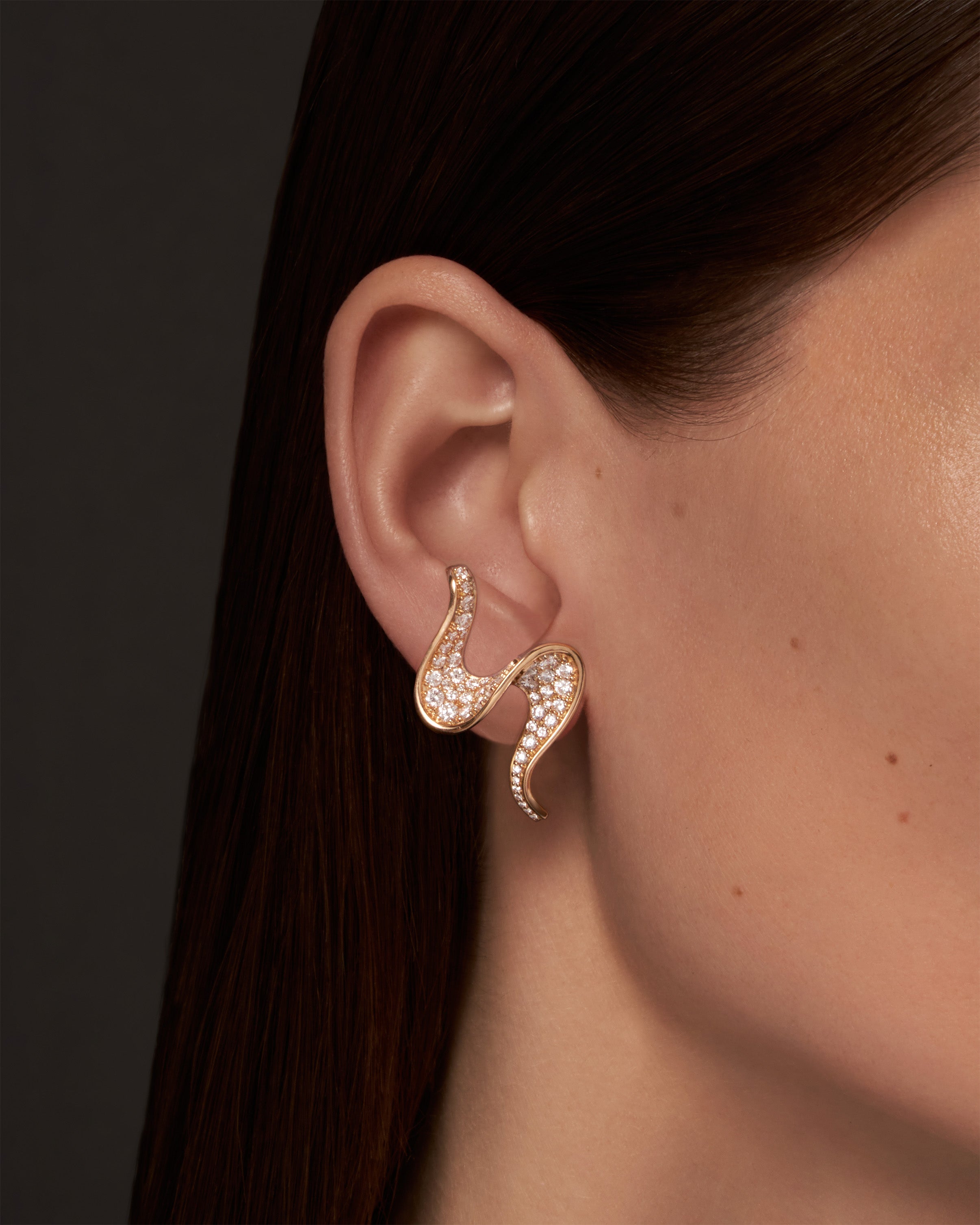 Spirale Climber Earrings