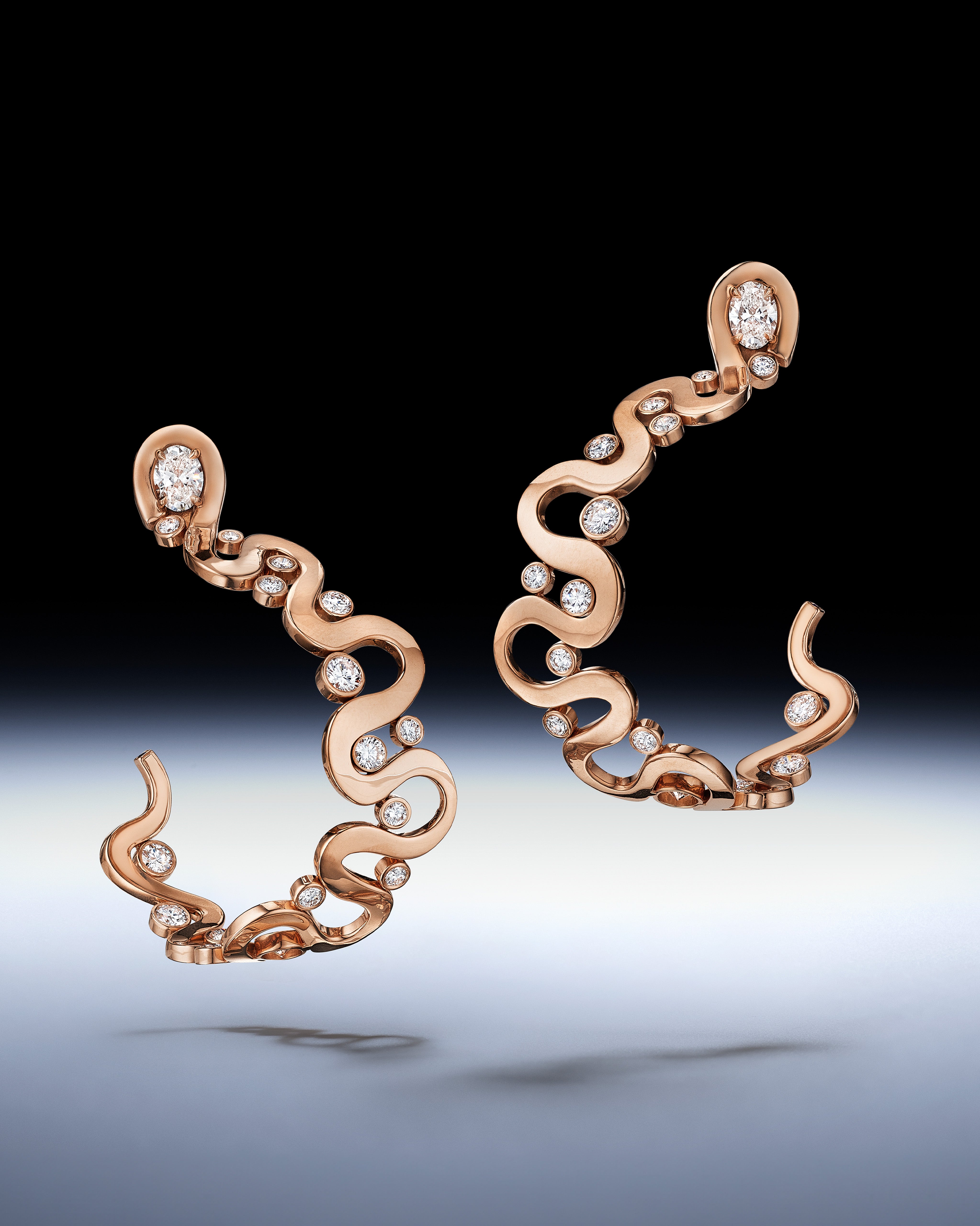 Loop Earrings