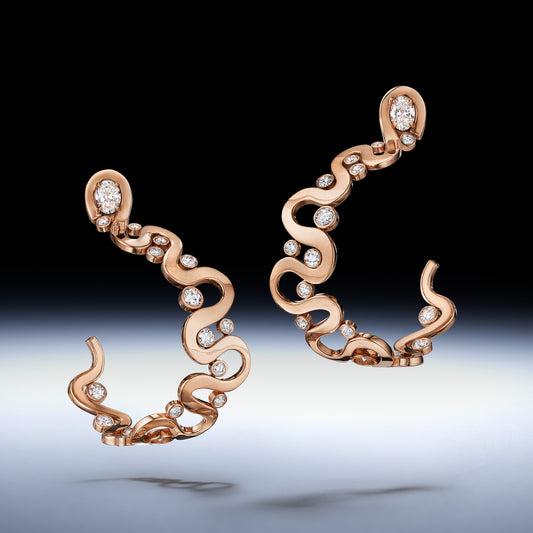 Loop Earrings