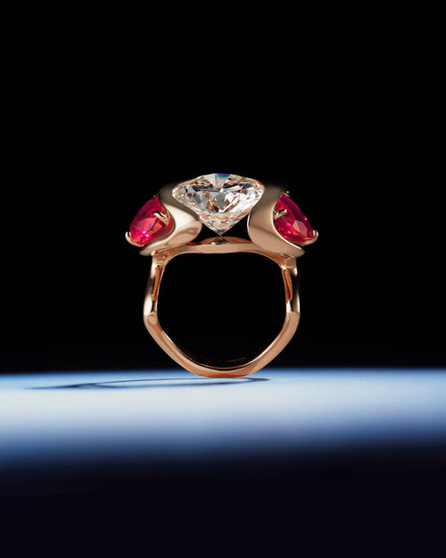 Loop Ring Design Loop Ring – REZA