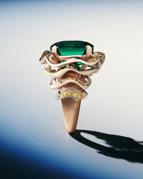 Frame Ring – REZA