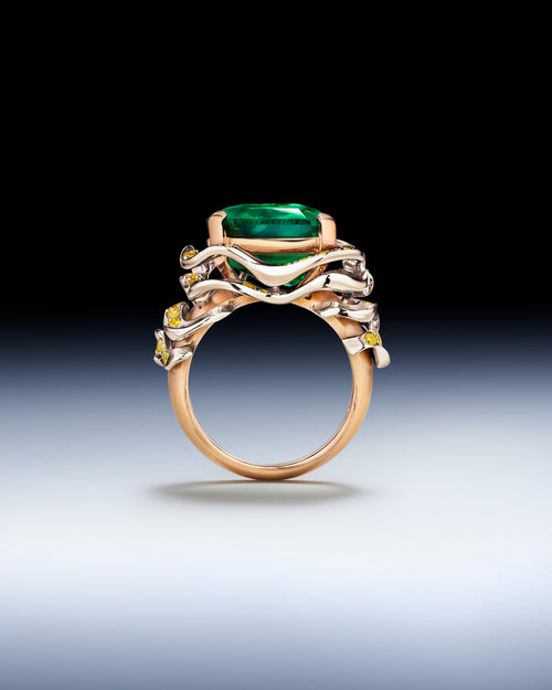 Frame Ring
