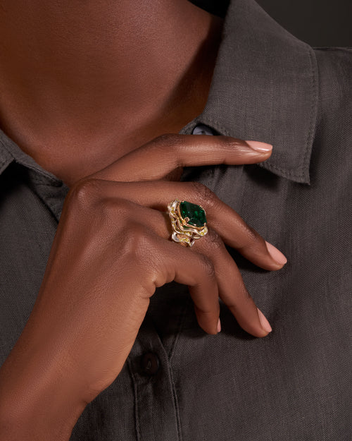 Frame Ring