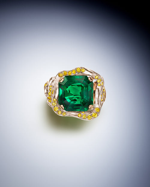 Frame Ring