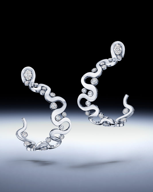 Loop Earrings