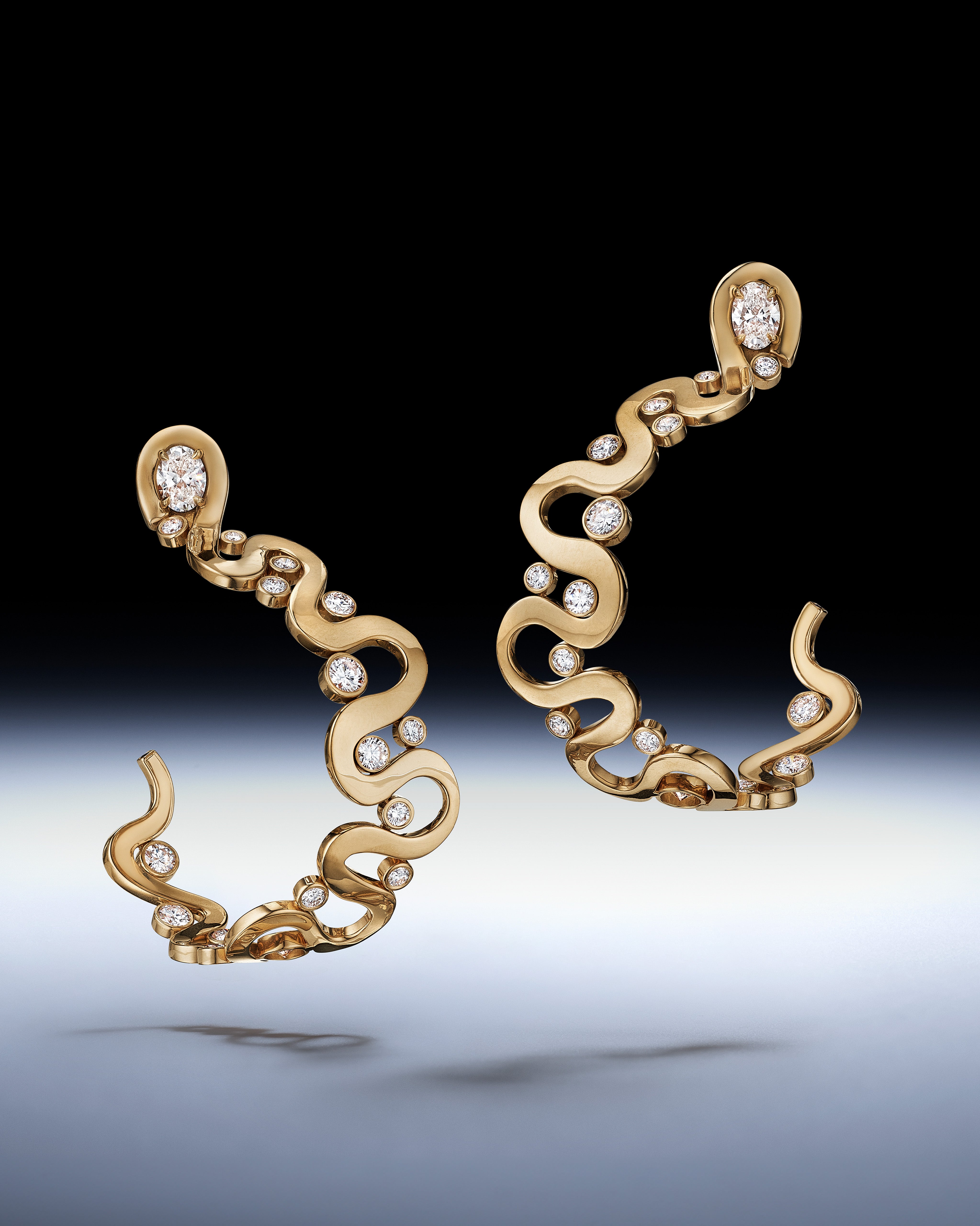 Loop Earrings
