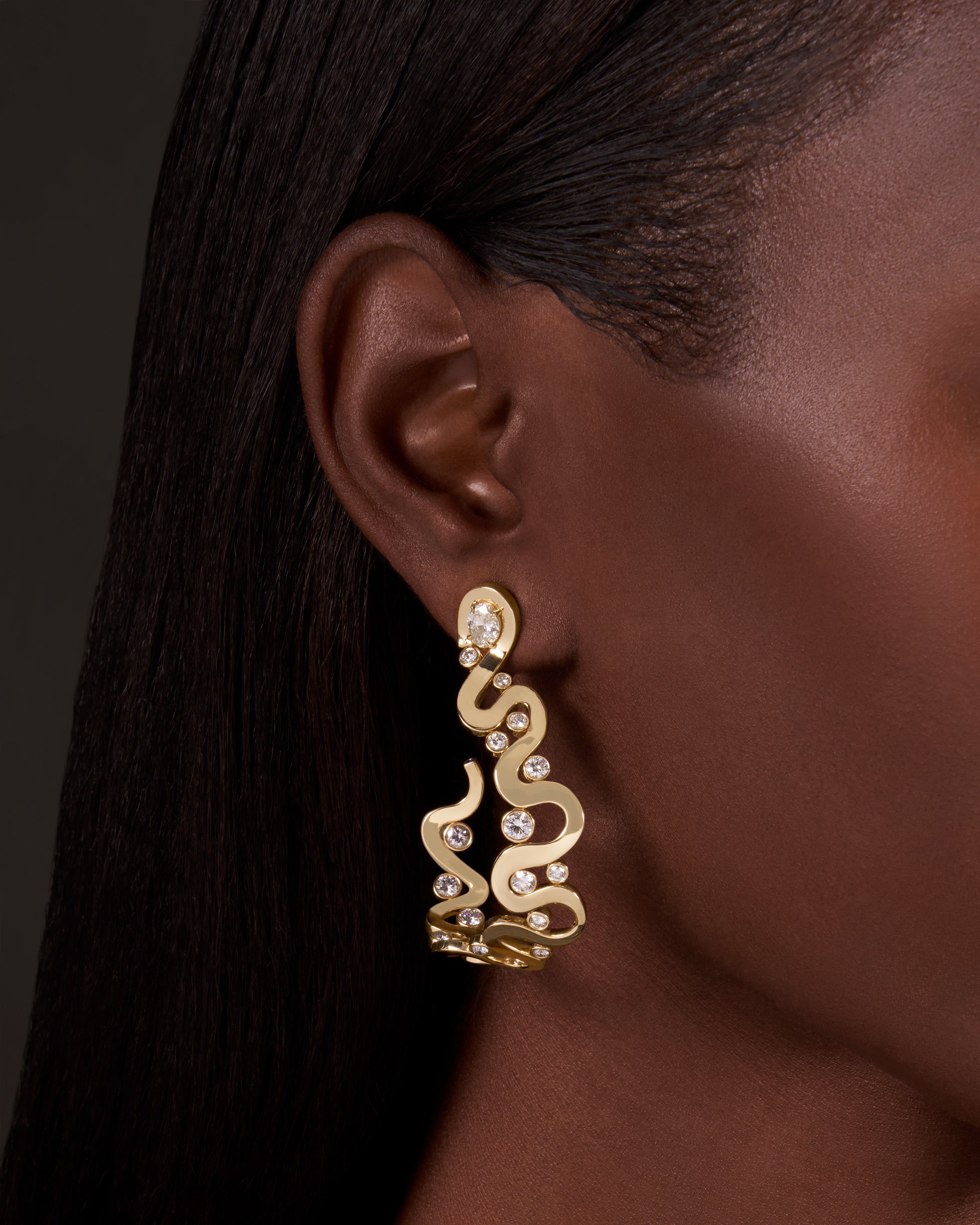 Loop Earrings