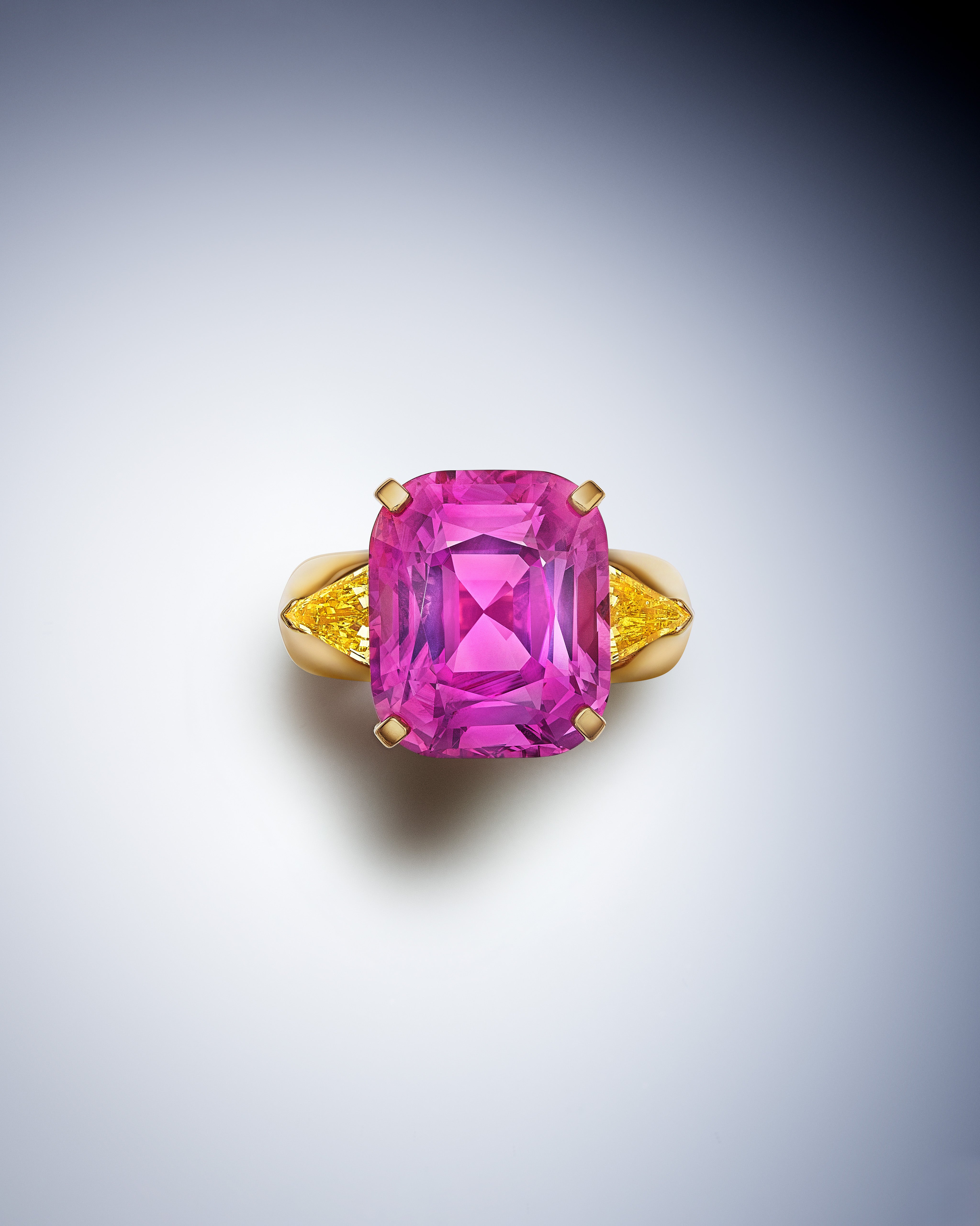 Fleche Ring