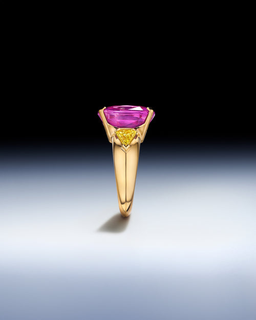 Fleche Ring