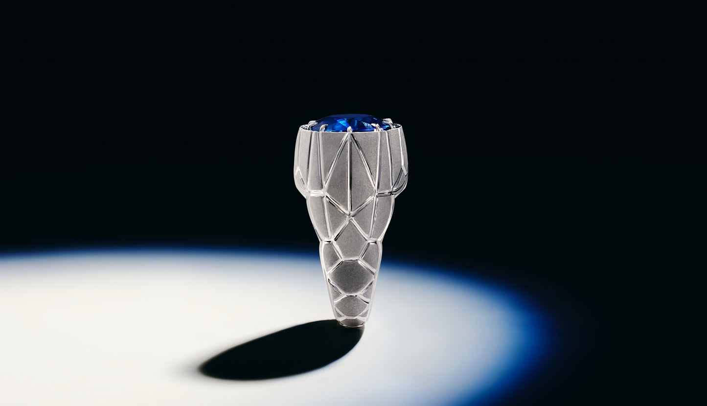 Facette  Ring