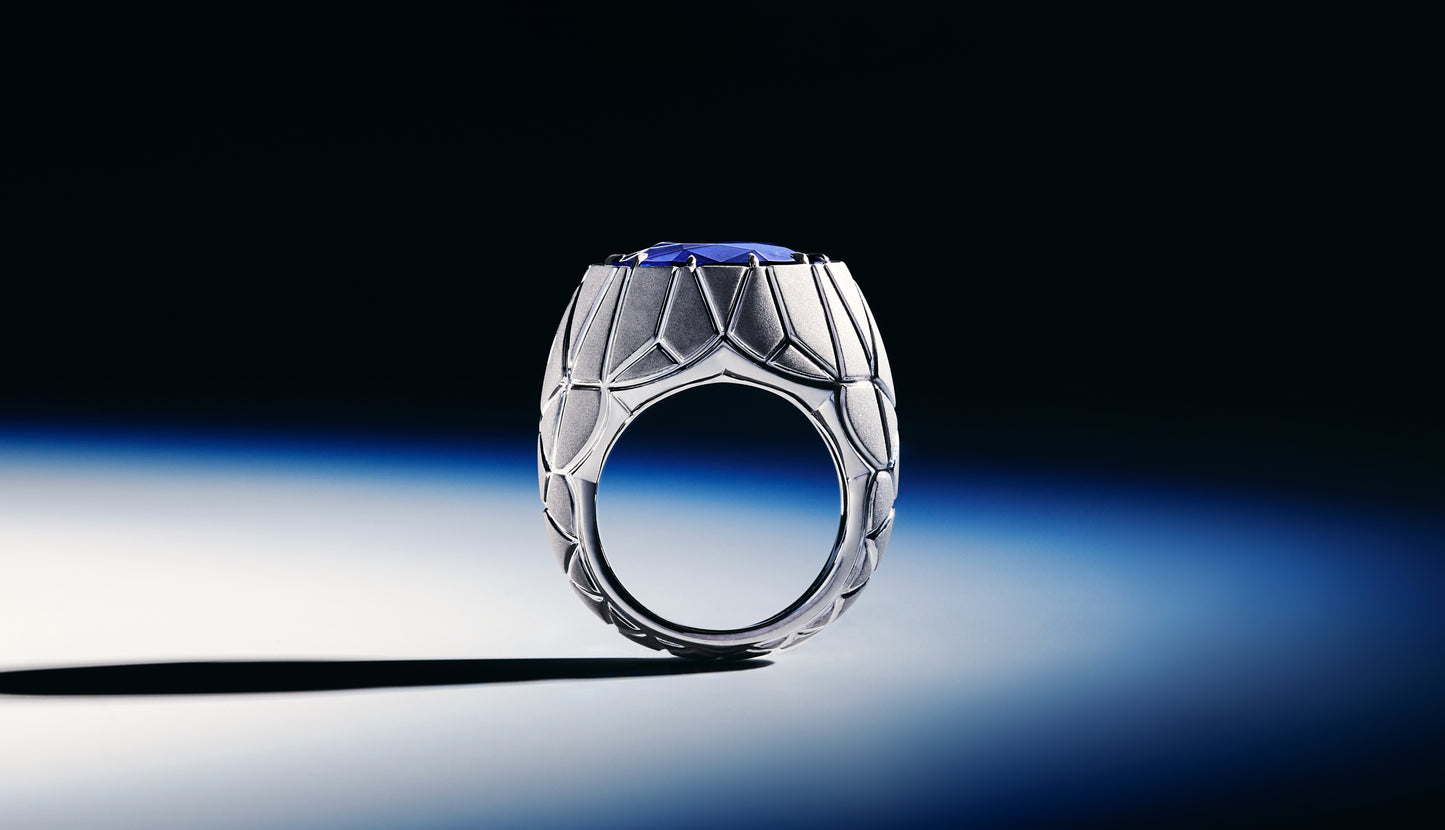 Facette  Ring